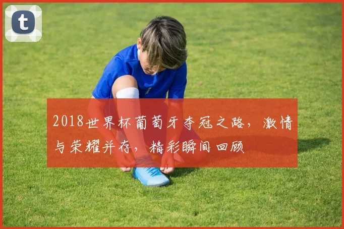 2018世界杯葡萄牙夺冠之路，激情与荣耀并存，精彩瞬间回顾