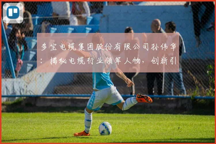 多宝电缆集团股份有限公司孙伟华：揭秘电缆行业领军人物，创新引领未来之路