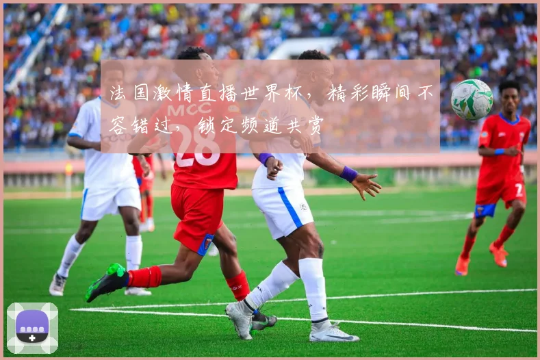 法国激情直播世界杯，精彩瞬间不容错过，锁定频道共赏