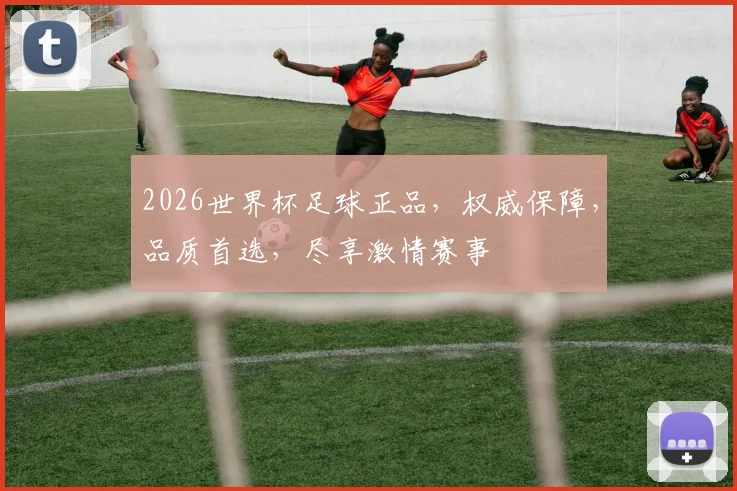 2026世界杯足球正品，权威保障，品质首选，尽享激情赛事