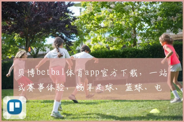 贝博betbal体育app官方下载，一站式赛事体验，畅享足球、篮球、电竞，尽在指尖，快来下载