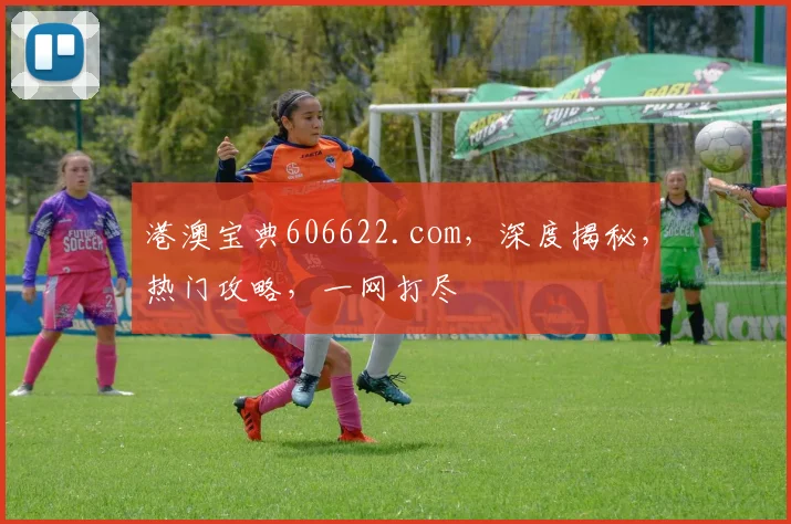 港澳宝典606622.com，深度揭秘，热门攻略，一网打尽