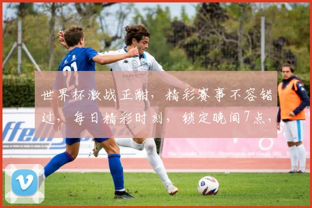 世界杯激战正酣，精彩赛事不容错过，每日精彩时刻，锁定晚间7点，不见不散